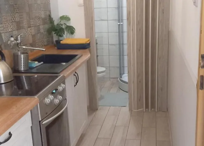 Night Host Trzebnicka 56 Free Parking 公寓