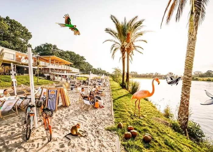 Night Host Trzebnicka 56 Free Parking