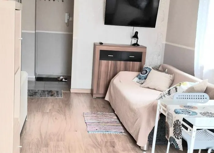 公寓 Night Host Trzebnicka 56 Free Parking